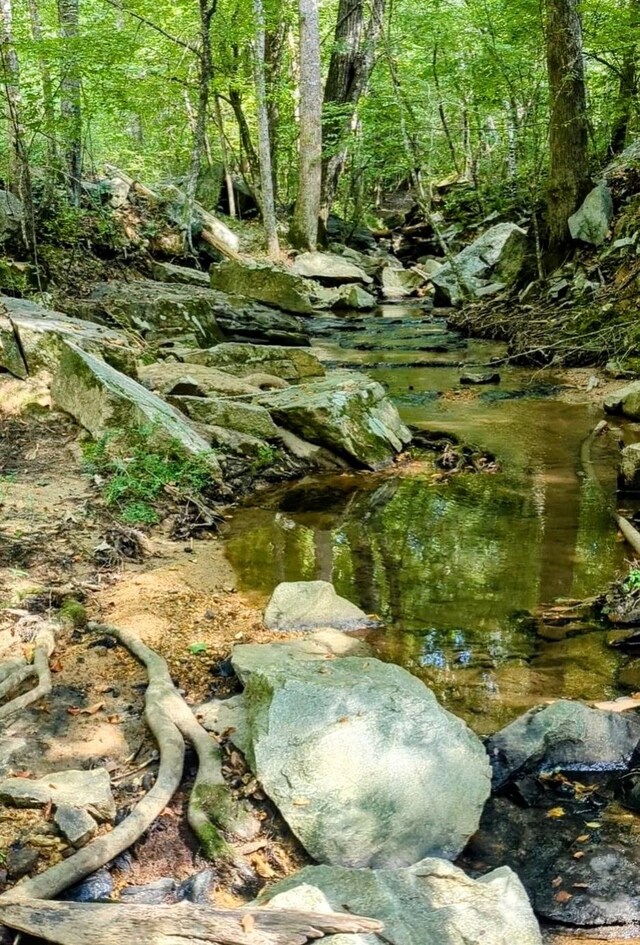 view of local wilderness