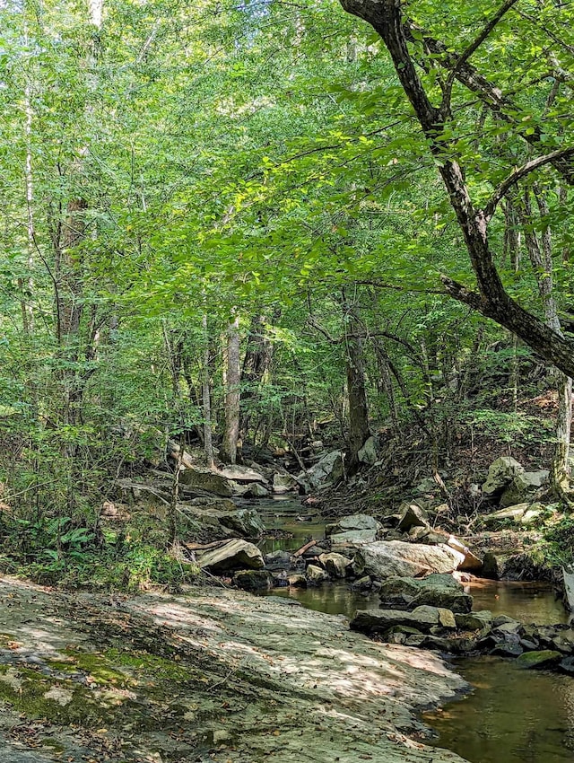 view of landscape