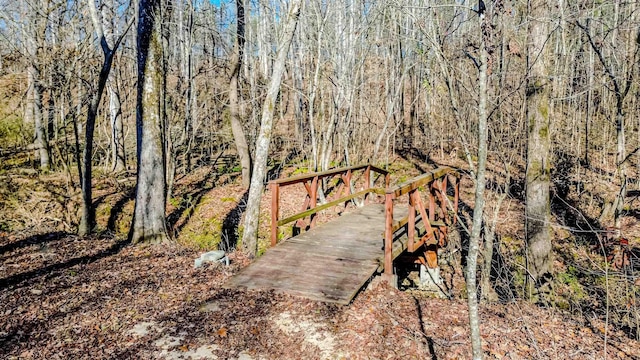 view of home's community