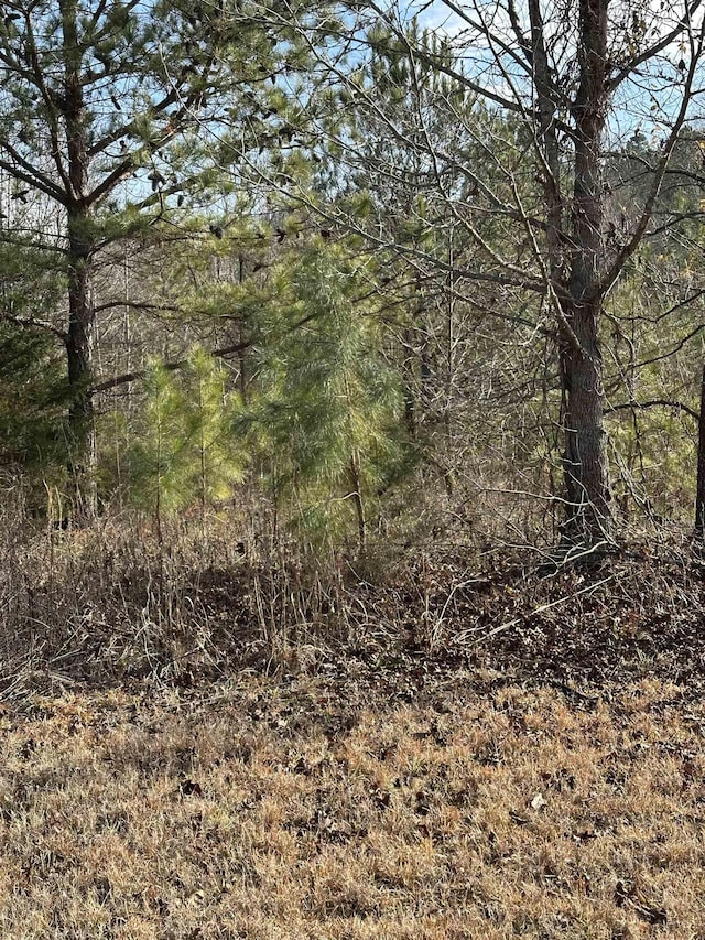view of local wilderness featuring a wooded view