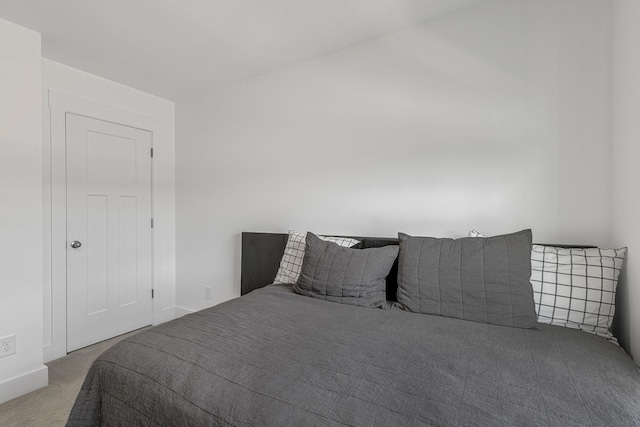 173 Dalmatian, Spartanburg, SC 29307 - view of carpeted bedroom
