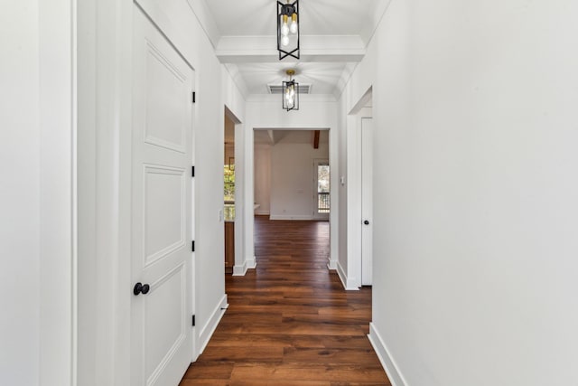 corridor featuring visible vents, crown molding, dark wood finished floors, and baseboards