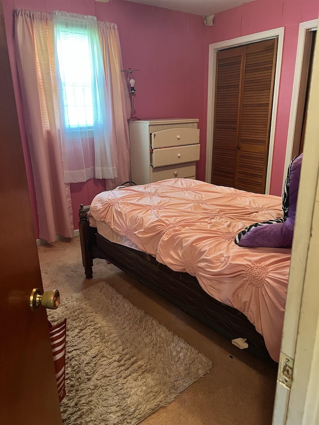 209 Demos, Roebuck, SC 29376 - bedroom with carpet and a closet
