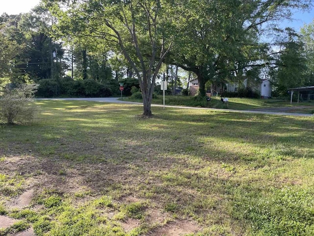 view of yard
