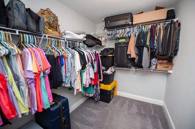spacious closet featuring carpet