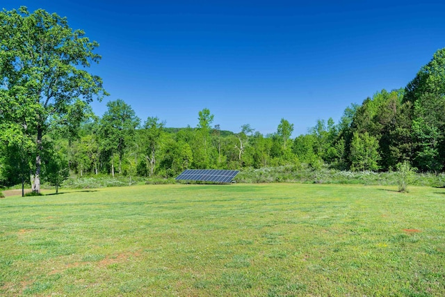 view of yard with a forest view