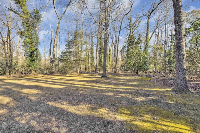 view of yard featuring a wooded view
