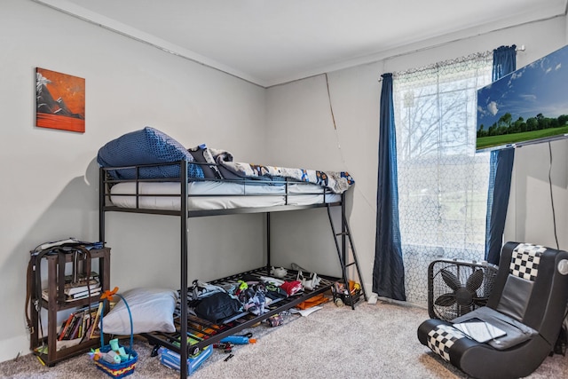 bedroom with carpet flooring