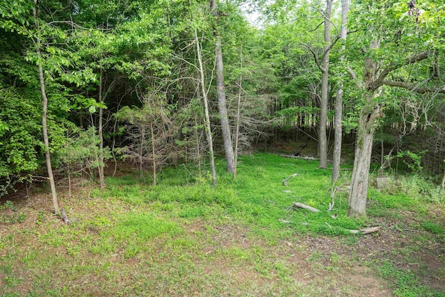 view of nature with a view of trees