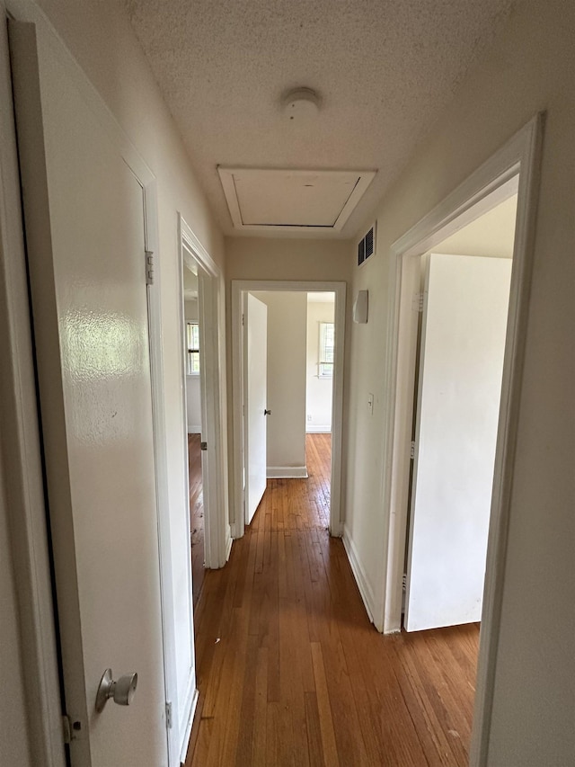 hallway featuring wood-type flooring, baseboards, plenty of natural light, and visible vents