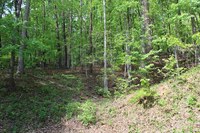 view of local wilderness with a wooded view