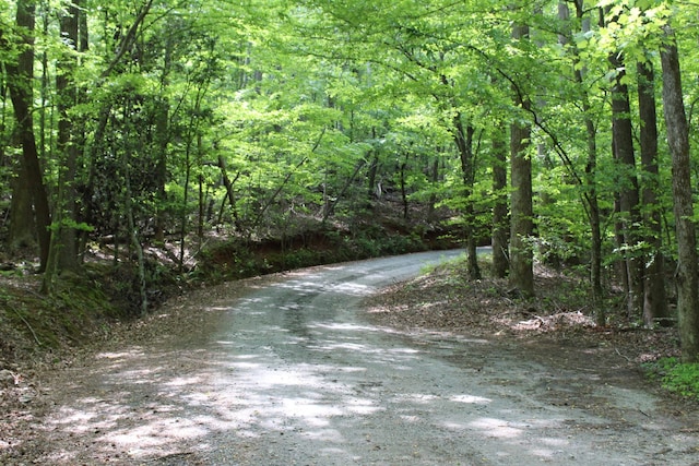 view of street featuring a wooded view