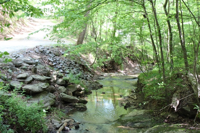 view of local wilderness
