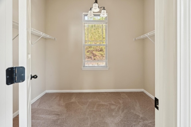 walk in closet featuring carpet