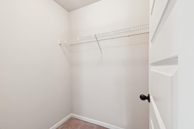 walk in closet featuring light colored carpet
