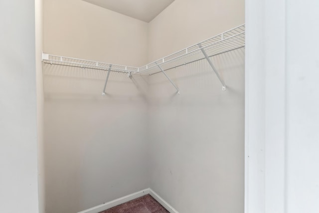 walk in closet with dark carpet