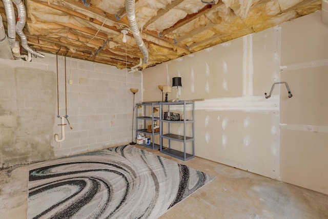 1000-2 Captains Cv, Salem, SC 29676 - view of unfinished below grade area