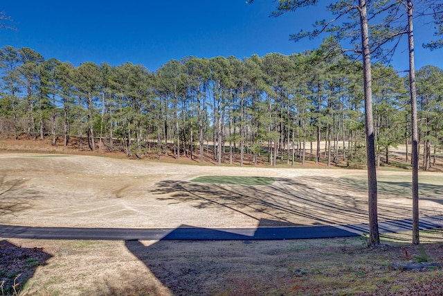 1000-2 Captains Cv, Salem, SC 29676 - view of yard