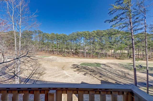 1000-2 Captains Cv, Salem, SC 29676 - view of yard