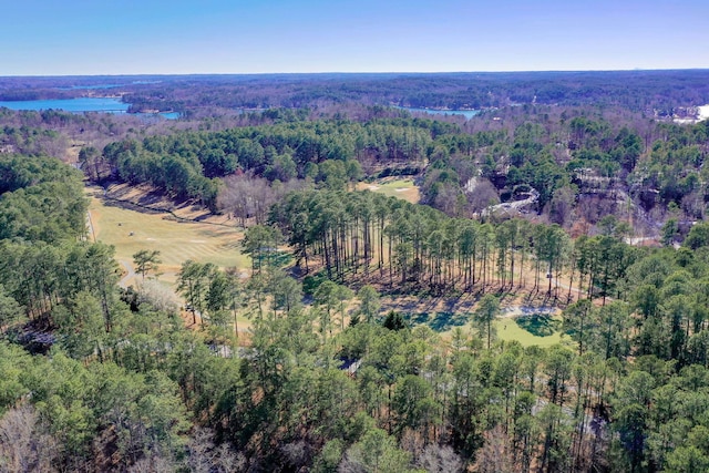 1000-2 Captains Cv, Salem, SC 29676 - birds eye view of property with a view of trees
