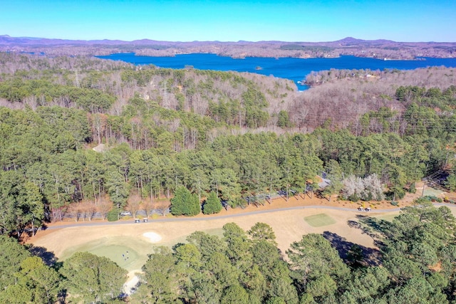 1000-2 Captains Cv, Salem, SC 29676 - aerial view featuring a water and mountain view and a forest view