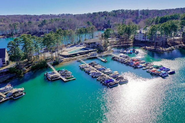 1000-2 Captains Cv, Salem, SC 29676 - birds eye view of property with a water view and a view of trees