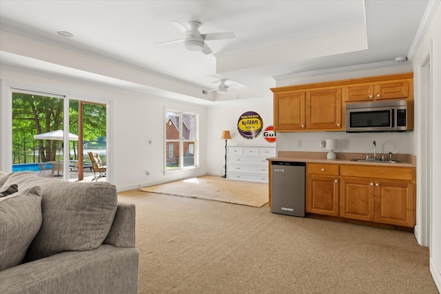 kitchen featuring open floor plan, appliances with stainless steel finishes, a sink, and a raised ceiling