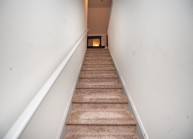 stairs with carpet floors