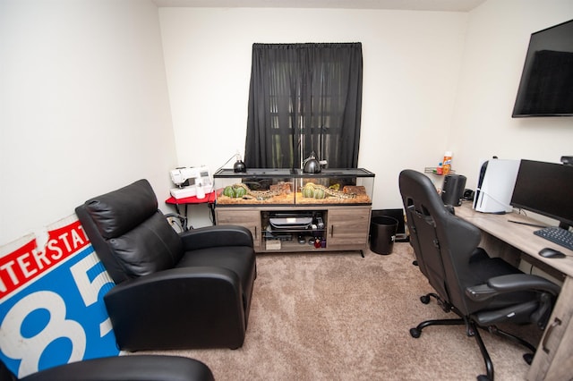 view of carpeted home office