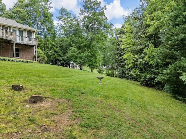 view of yard