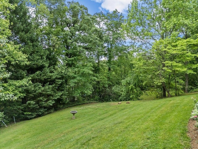 view of yard with a forest view