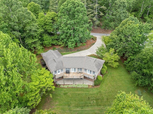 bird's eye view