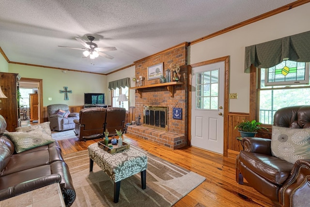living area with light wood-style floors, wainscoting, and crown molding