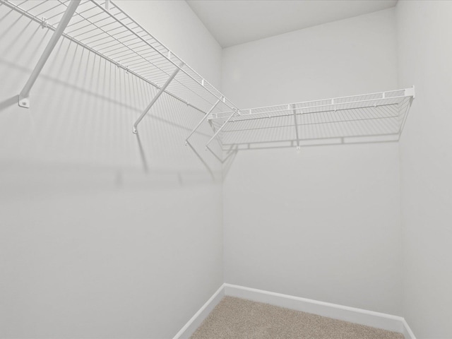 114 Arrow, Greer, SC 29651 - walk in closet featuring carpet flooring