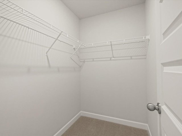 124 Arrow, Greer, SC 29651 - walk in closet featuring carpet