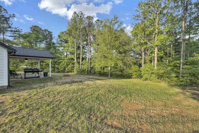 555 Canewood, Campobello, SC 29322 - view of yard