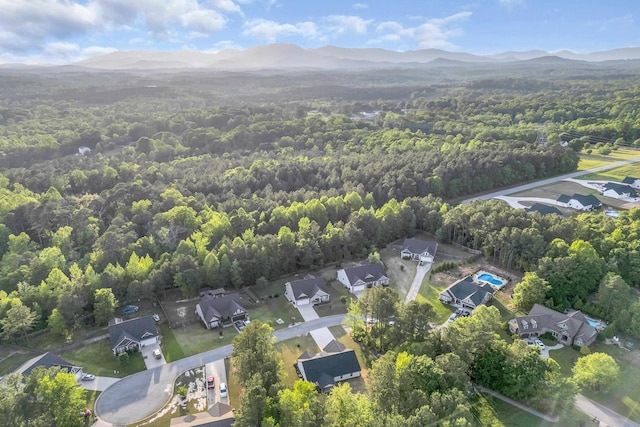 555 Canewood, Campobello, SC 29322 - birds eye view of property with a mountain view and a view of trees