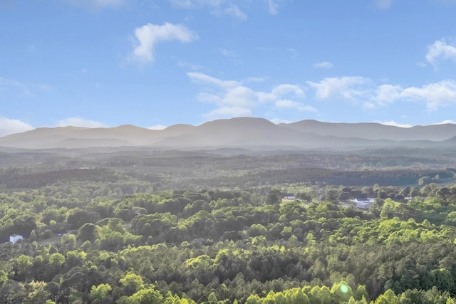 555 Canewood, Campobello, SC 29322 - property view of mountains with a forest view