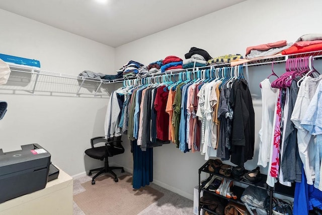 walk in closet featuring carpet flooring