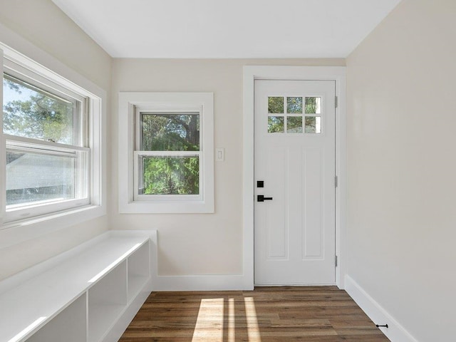 doorway with baseboards, a healthy amount of sunlight, and wood finished floors