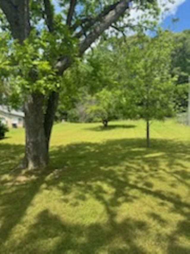 view of grassy yard