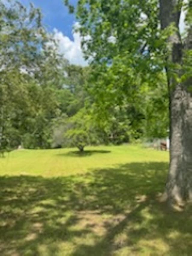 view of green lawn