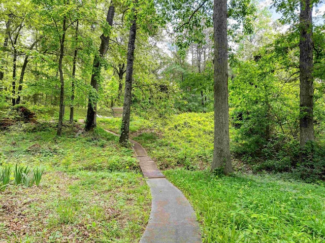 132 Rosecrest, Spartanburg, SC 29303 - view of woods