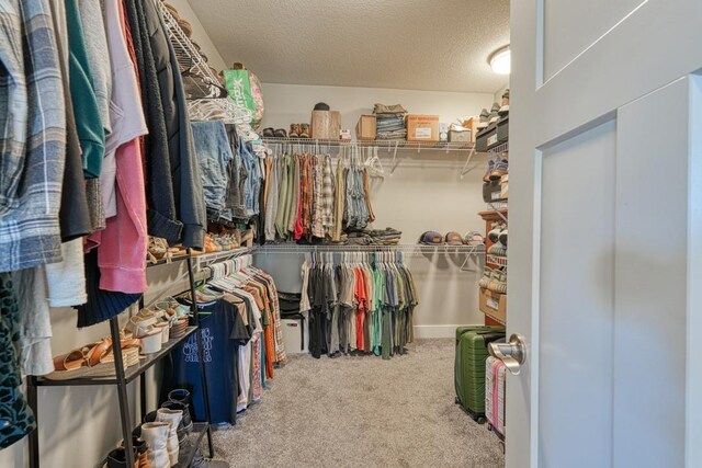 walk in closet with carpet flooring