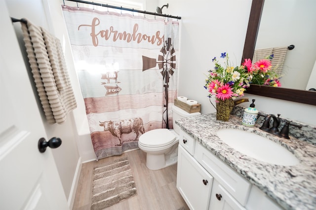 bathroom featuring wood finished floors, toilet, and vanity