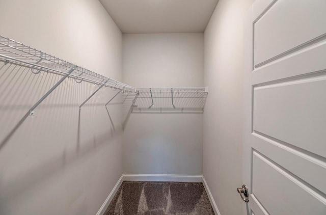 walk in closet featuring carpet