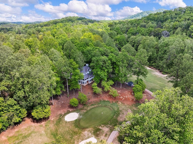 aerial view of a forest