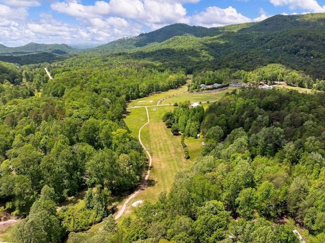 drone / aerial view of a forest and mountains