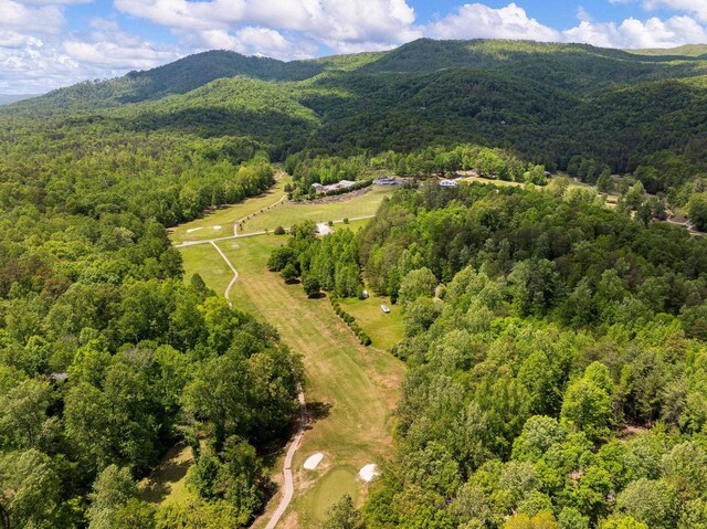 bird's eye view of a forest and mountains