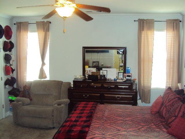 474 Slate, Boiling Springs, SC 29316 - bedroom featuring crown molding, multiple windows, and ceiling fan